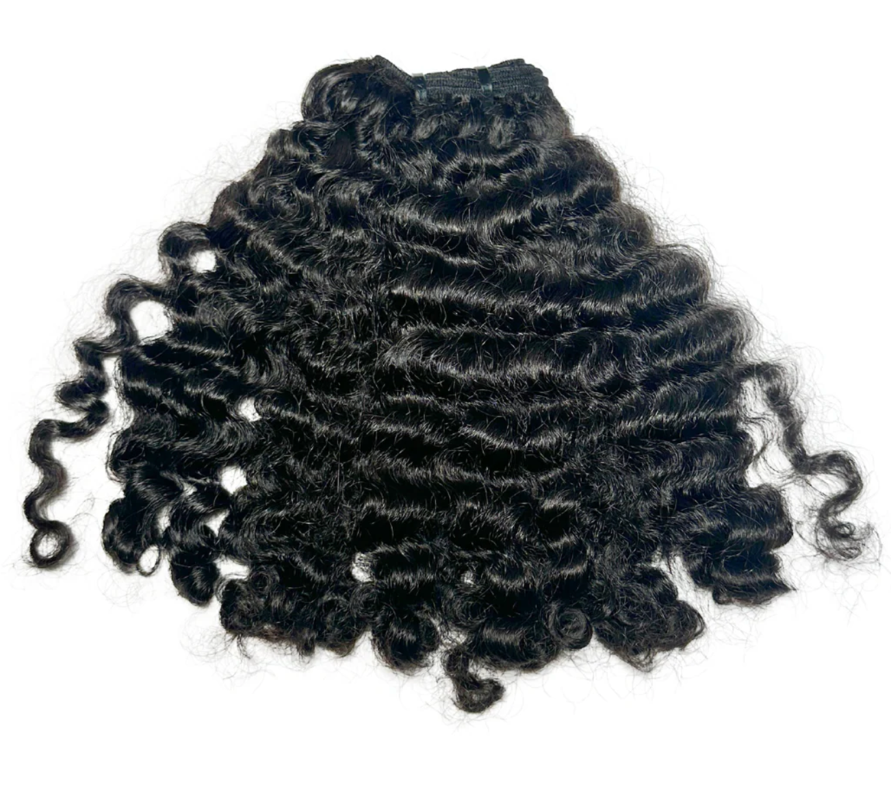 Laos Curly
